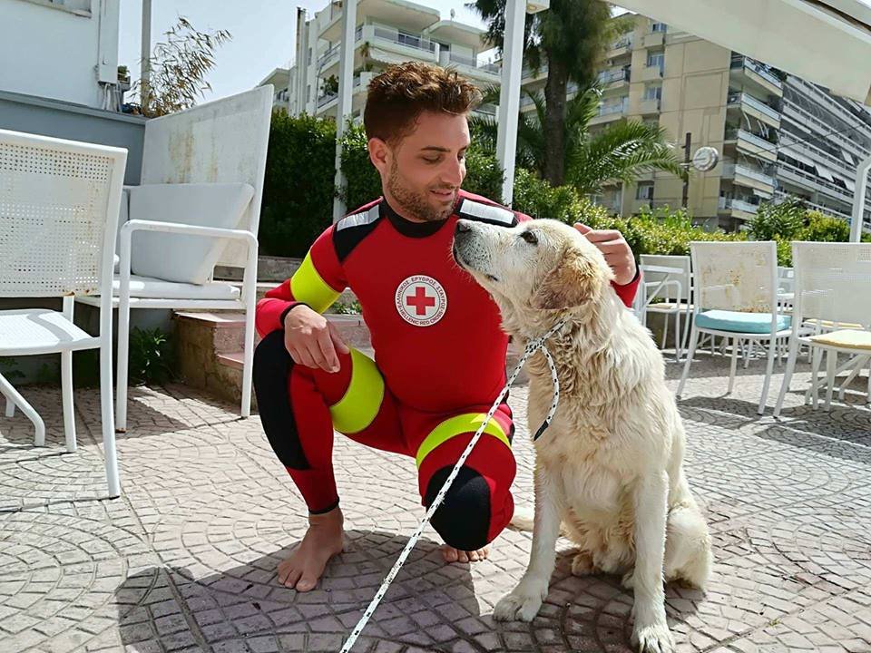 Καρέ- καρέ η επιχείρηση διάσωσης σκύλου στην Πάτρα που έπεσε στην θάλασσα [βίντεο] | iefimerida.gr 2