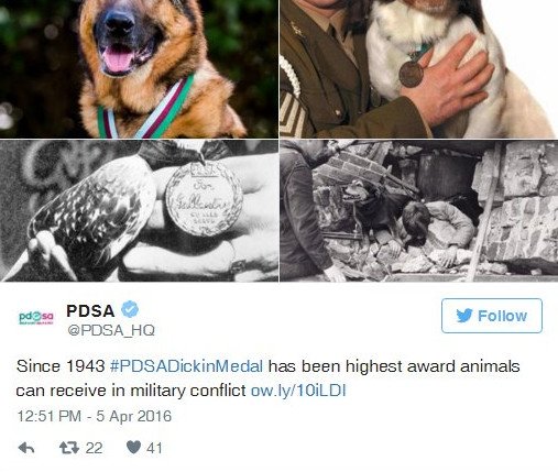 Παρασημοφόρησαν την τρίποδη Λούκα -Εχασε το πόδι της υπηρετώντας στο Ιράκ [εικόνες & βίντεο] | iefimerida.gr 4