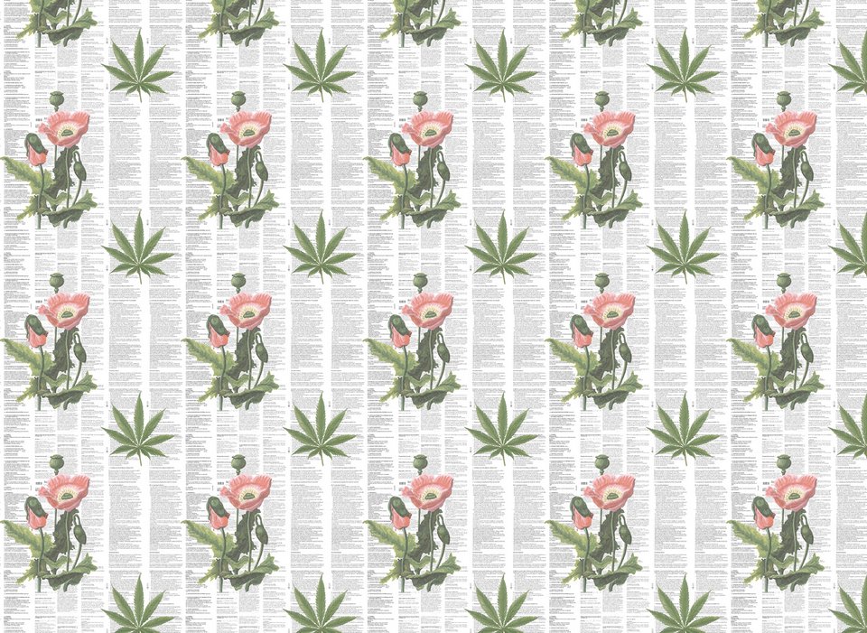 Πορτρέτα... χαπιών: Η απρόσμενη εικαστική έκθεση που θα γίνει θέμα συζήτησης στην πόλη [εικόνες] | iefimerida.gr 1