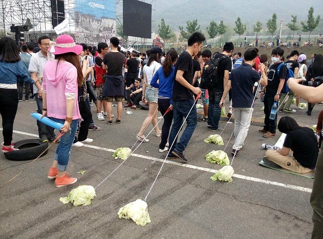 Γιατί στην Κίνα οι νέοι πηγαίνουν τα λάχανα βόλτα; -Μια αλλόκοτη μανία με πολλές ερμηνείες [εικόνες] | iefimerida.gr 0