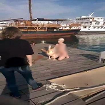 Απίστευτο: Ρωσίδα γυμνή με πελεκάνο στο λιμανάκι της Πάφου [εικόνες] | iefimerida.gr 2