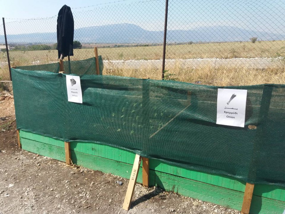 Σε κάθε παρτέρι κατασκευάστηκαν και τοποθετηθήκαν ταμπέλες στα ελληνικά, αγγλικά, κουρδικά και αραβικά
