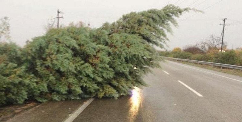 Θεομηνία σε όλη την Ελλάδα -Καταιγίδες, πλημμύρες και καταστροφές από την Πέλλα έως την Αττική και την Αργολίδα | iefimerida.gr 6