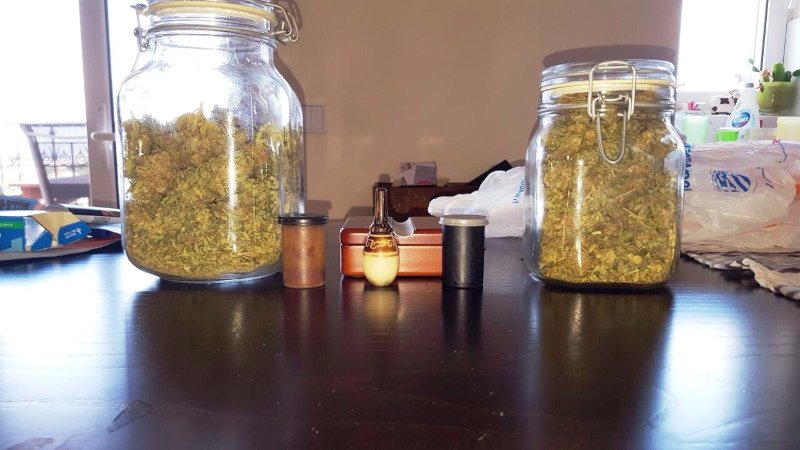 Εγκληματική οργάνωση καλλιεργούσε και διακινούσε μεγάλες ποσότητες κάνναβης [εικόνες] | iefimerida.gr 3