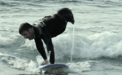 Δέκα πραγματικά πολύ περίεργες φωτογραφίες που τραβήχτηκαν στο 2013 [εικόνες] | iefimerida.gr 9