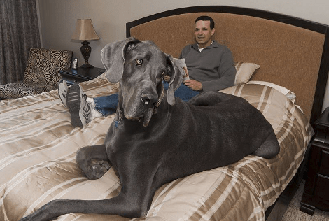 Δέκα πραγματικά πολύ περίεργες φωτογραφίες που τραβήχτηκαν στο 2013 [εικόνες] | iefimerida.gr 6