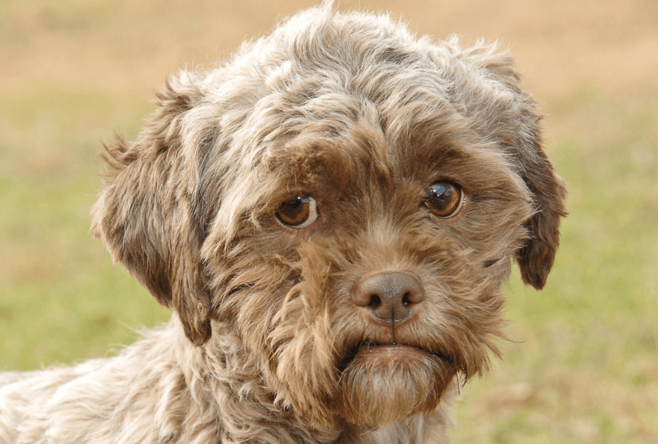 Δέκα πραγματικά πολύ περίεργες φωτογραφίες που τραβήχτηκαν στο 2013 [εικόνες] | iefimerida.gr 0