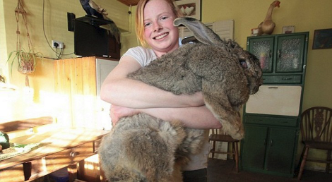 Δέκα πραγματικά πολύ περίεργες φωτογραφίες που τραβήχτηκαν στο 2013 [εικόνες] | iefimerida.gr 7