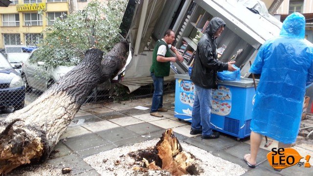 Βιβλική καταιγίδα στη Θεσσαλονίκη: Οι δρόμοι έγιναν ποτάμια και ένα δέντρο γκρέμισε... περίπτερο! [εικόνες&βίντεο] | iefimerida.gr 1