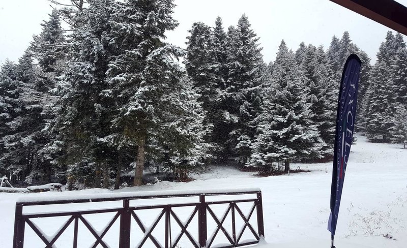 Η μισή Ελλάδα στα λευκά -Εκπληκτικές εικόνες, χιόνι μέχρι τη θάλασσα [εικόνες & βίντεο] | iefimerida.gr 3