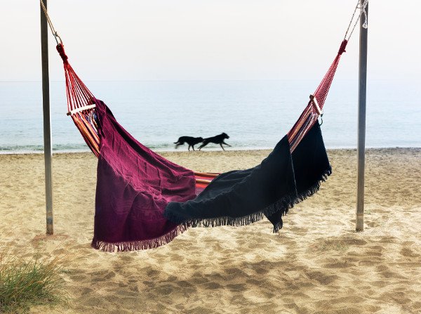 Sun of A Beach: Ενα success story με άρωμα καλοκαιριού -Η Μελίνα και η Ελλη έφτιαξαν μοδάτες πετσέτες θαλάσσης και ξεπουλάνε [εικόνες] | iefimerida.gr 8