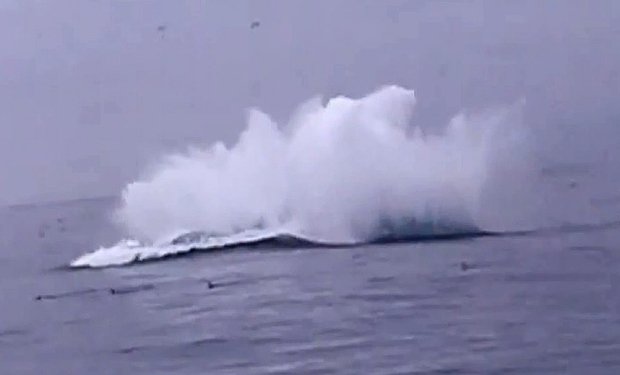 Σώθηκαν από θαύμα - Τουρίστες έκαναν κωπηλασία όταν μία φάλαινα 40 τόνων προσγειώθηκε πάνω τους [εικόνες & βίντεο] | iefimerida.gr 1