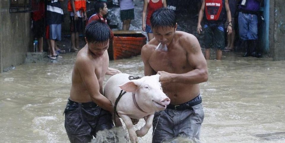 Αυξάνονται συνεχώς οι νεκροί από τον τυφώνα Νεσάτ στις Φιλιππίνες [εικόνες] | iefimerida.gr 5