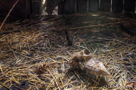 Οι φωτογραφίες δεν λένε πάντα την αλήθεια: Τι μπορεί να κρύβεται πίσω από μερικά εκπληκτικά καρέ [εικόνες] | iefimerida.gr 4