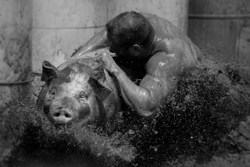 Οι 15 υπέροχες φωτογραφίες από τις τελικές υποψηφιότητες - Ψηφίστε την καλύτερη [εικόνες] | iefimerida.gr 14