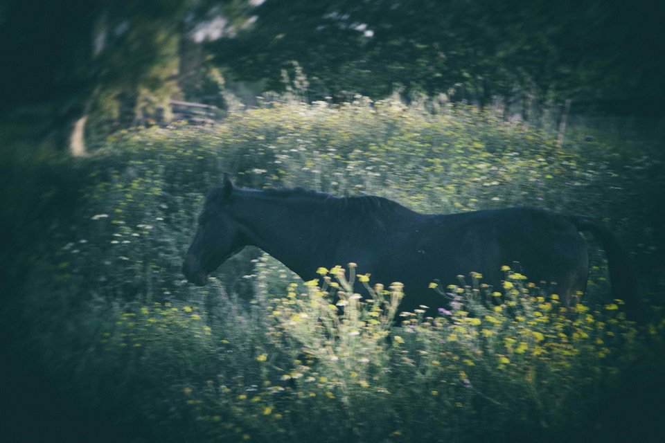 Ενας αστρονόμος φωτογραφίζει τα όνειρα- In praise of dreams, του Βασίλη Γεροντάκου [εικόνες] | iefimerida.gr 0