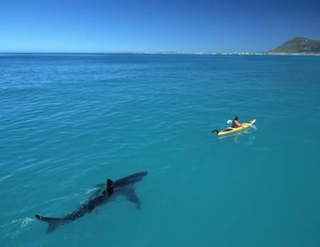 Δέκα φωτογραφίες που δεν πιστεύεις ότι είναι πραγματικές [εικόνες] | iefimerida.gr 6