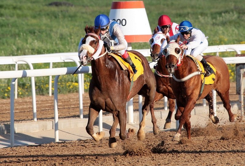 Το Κριτήριο Τριετών σήμερα στον Ιππόδρομο Αθηνών  | iefimerida.gr 1