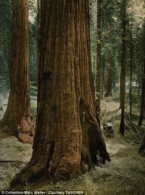 Η ζωή στις ΗΠΑ στις αρχές του 20ου αιώνα -Οταν άπλωναν την μπουγάδα στις λεωφόρους όπως στα καντούνια της Κέρκυρας [εικόνες] | iefimerida.gr 7