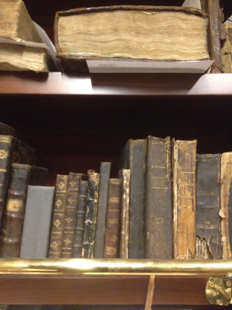 Η περίφημη Ιστικλάλ της Κωνσταντινούπολης μαθαίνει να μιλάει ελληνικά και ταξιδεύει κάθε μέρα στον πολιτισμό μας [εικόνες] | iefimerida.gr 6