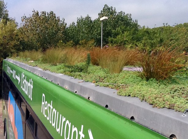 Στους δρόμους της Ισπανίας το πρώτο λεωφορείο με κήπο στην οροφή [εικόνες+βίντεο]  | iefimerida.gr 5