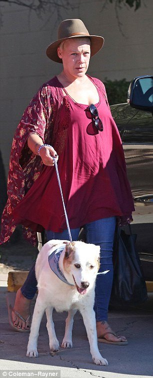 Pink: Αγνώριστη χωρίς το μακιγιάζ η τραγουδίστρια [εικόνες]  | iefimerida.gr 2