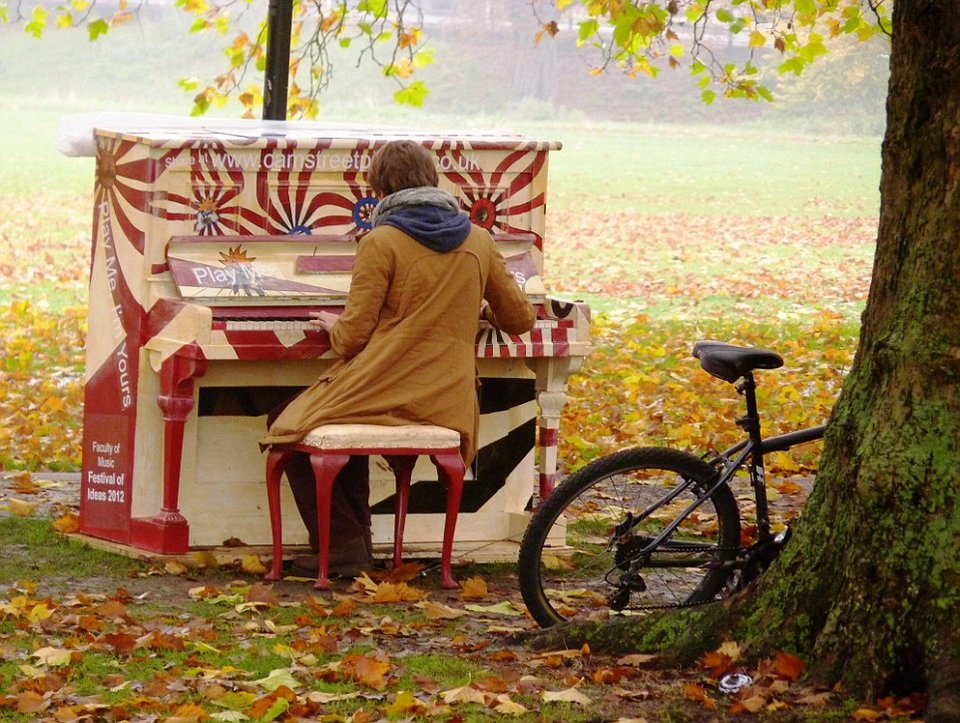 Τι είναι αυτά τα χρωματιστά πιάνα που ξεφυτρώνουν... ξαφνικά στα κέντρα μεγάλων πόλεων [εικόνες] | iefimerida.gr 6