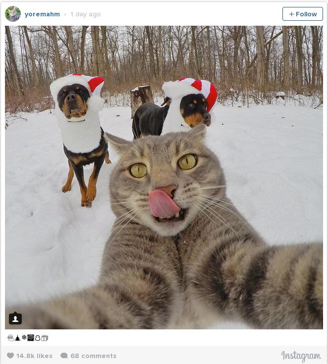 Οι 8+1 selfies του 2016 που έγιναν αμέσως viral -Λεονάρντο Ντι Κάπριο, Χίλαρι, Καρντάσιαν αλλά και μια... γάτα! [εικόνες] | iefimerida.gr 3