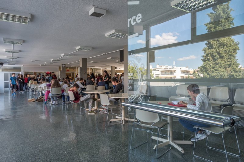 Pierce Leadership Academy: Καλοκαίρι στην Ελλάδα -Ενα ταξίδι στην ηγεσία, το ήθος, την επιστήμη και τις τέχνες | iefimerida.gr 9
