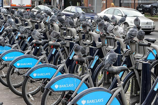 Γιατί τα... περιστέρια εμποδίζουν τους Λονδρέζους να κάνουν ποδήλατο [εικόνες] | iefimerida.gr 1