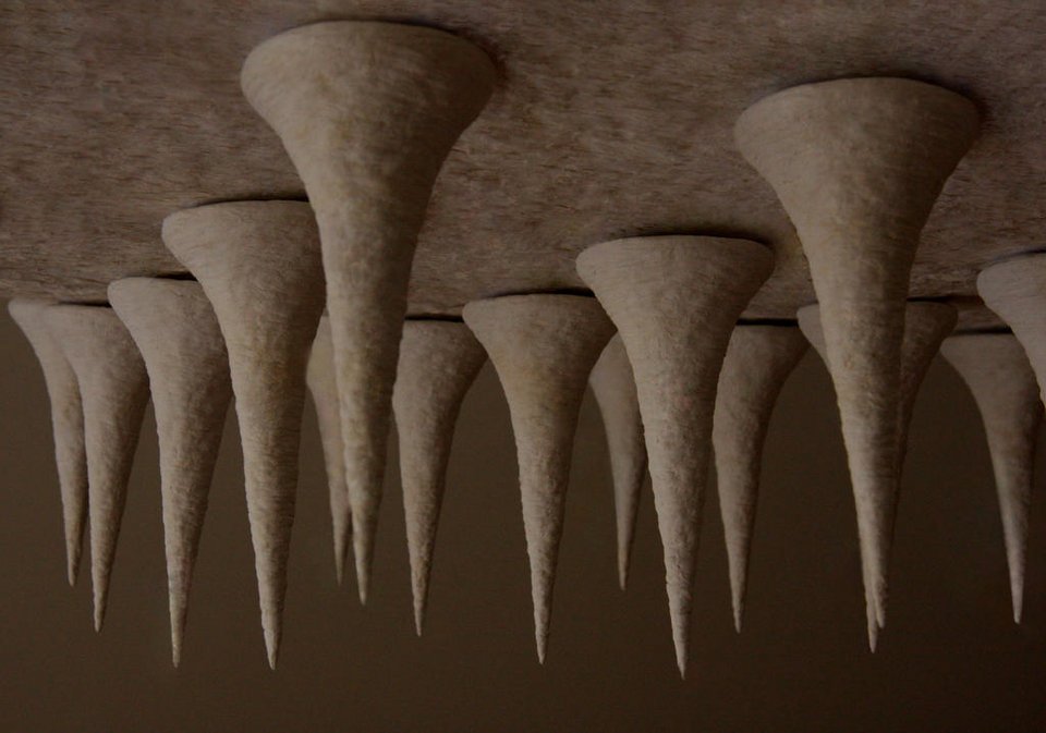 Η «Γέννηση της συνύπαρξης», ομαδική έκθεση στην Ελληνοαμερικανική Ενωση [εικόνες] | iefimerida.gr 2