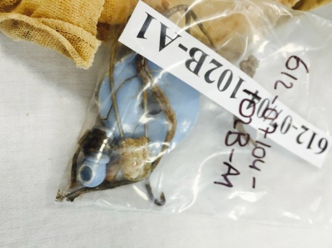 Κύπρος: Βρέθηκε νεκρό βρέφος με την πιπίλα του, 41 χρόνια μετά [εικόνες] | iefimerida.gr 0