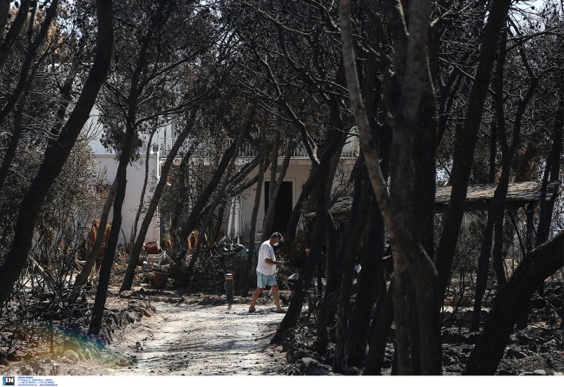Τα στελέχη της πυροσβεστικής μάλιστα δεν είχαν πραγματική εικόνα για τις συνθήκες της πυρκαγιάς, και ειδικότερα δεν γνώριζαν τον ακριβή τόπο της εκδήλωσης της, τα μέτωπα, την εξέλιξη και εξάπλωση της.