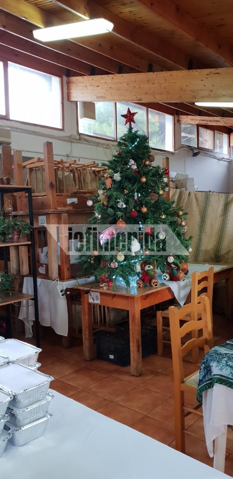 Ενα Χριστουγεννιάτικο δέντρο σε ένα από τα σπιτάκια