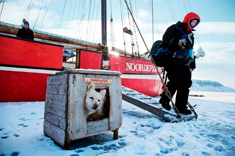 Διανυκτέρευση στους πάγους: Ενα παγιδευμένο πλοίο έγινε ξενοδοχείο με όλες τις ανέσεις [εικόνες] | iefimerida.gr 4