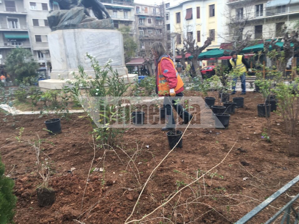 «Ανθίζει» η πλατεία Βικτωρίας -Τοποθετούν φυτά και λουλούδια στη θέση του αυτοσχέδιου καταυλισμού [εικόνες] | iefimerida.gr 0