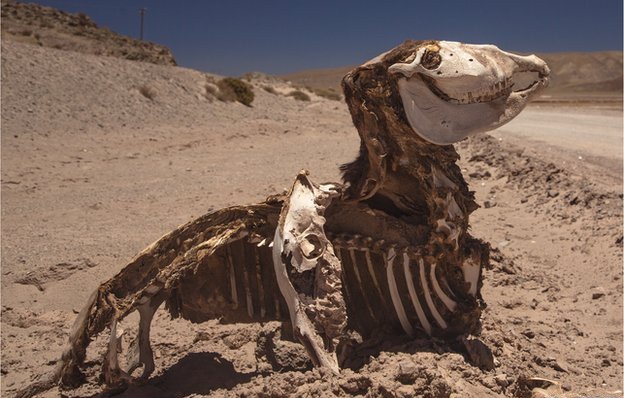 Η χειρότερη συνέντευξη όλων των εποχών -Μιλώντας με τον πιο μοναχικό συνταξιούχο στον κόσμο [εικόνες] | iefimerida.gr 4