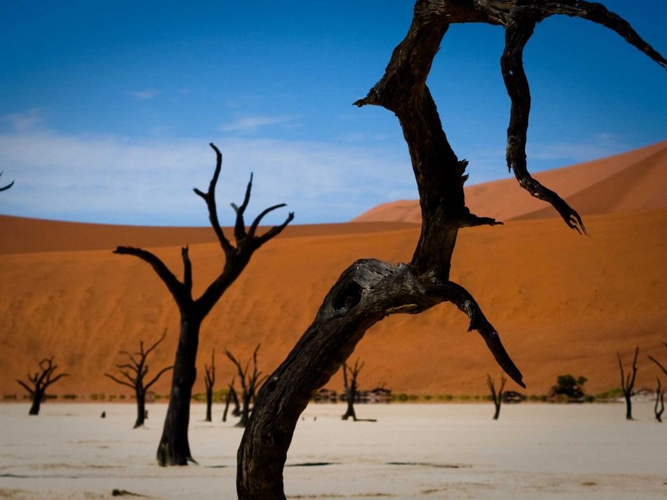 Τα 23 μέρη που πρέπει να επισκεφθείτε την επόμενη χρονιά -Πού να πάτε και γιατί [εικόνες] | iefimerida.gr 5