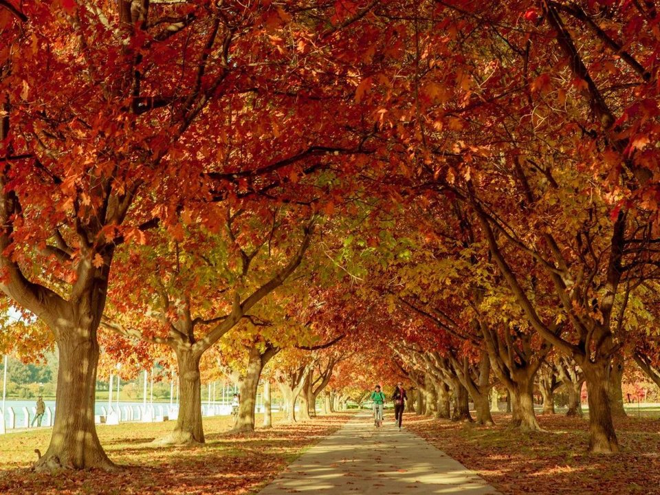 Τα 23 μέρη που πρέπει να επισκεφθείτε την επόμενη χρονιά -Πού να πάτε και γιατί [εικόνες] | iefimerida.gr 6