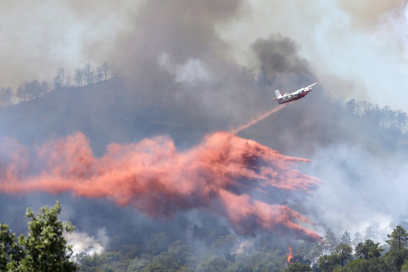 Τουρίστες φεύγουν όπως όπως από τις παραλίες, φλόγες ξεπηδούν από παντού -Tεράστια φωτιά στη Γαλλική Ριβιέρα [εικόνες] | iefimerida.gr 12