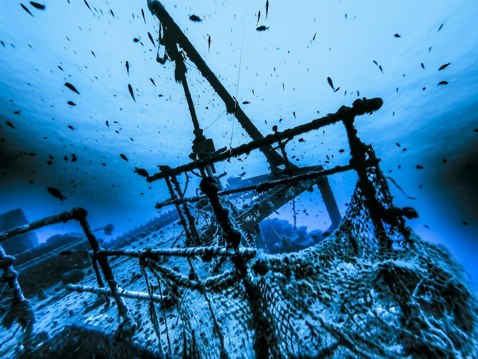 Βουτιά «Με μια ανάσα» στο Πλανητάριο [εικόνες] | iefimerida.gr 1