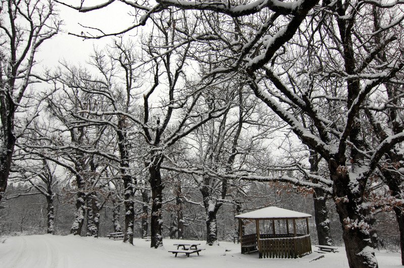 Η λίμνη Πλαστήρα στα λευκά -«Μαγικό» τοπίο [εικόνες] | iefimerida.gr 1