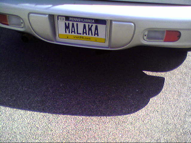 Ξεκαρδιστικές πινακίδες αυτοκινήτων στις ΗΠΑ που μόνο Ελληνες θα μπορούσαν να έχουν φτιάξει [εικόνες] | iefimerida.gr 1