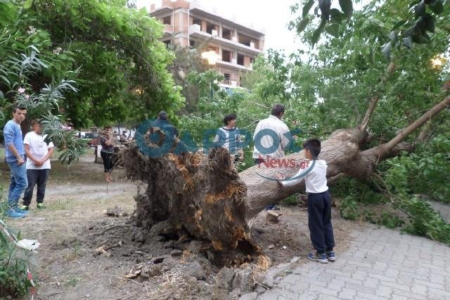 Ξεριζώθηκε δέντρο από τους θυελλώδεις ανέμους και έπεσε σε παιδική χαρά – Τραυματίστηκε κοριτσάκι [εικόνες&βίντεο] | iefimerida.gr 2