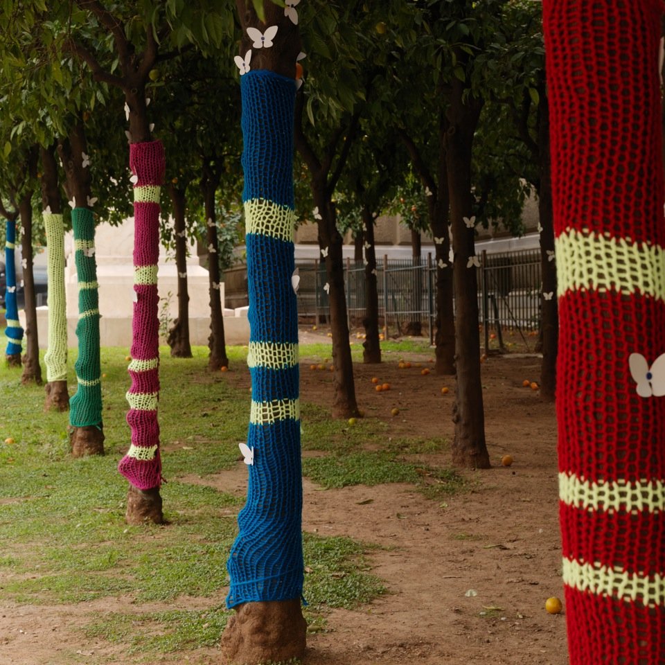 Αθηναίοι ντύνουν με ...πουλόβερ τις στάσεις και στις νεραντζιές του κέντρου [εικόνες] | iefimerida.gr 3