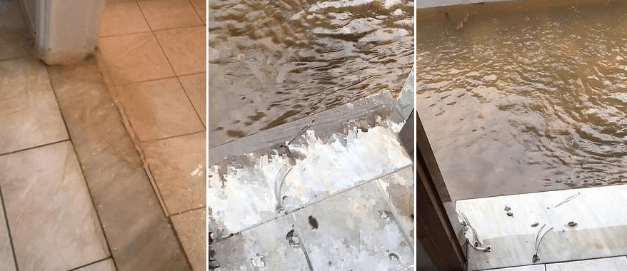 Γκέι ζευγάρι Βρετανών έξαλλοι με τον κυκλώνα «Ζορμπά»: Πλημμύρισε το δωμάτιό τους στη Σκιάθο, έμειναν χωρίς φαγητό [εικόνες] | iefimerida.gr 2