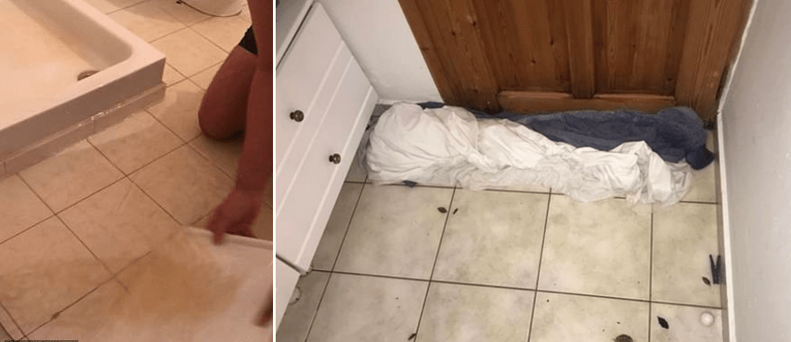 Γκέι ζευγάρι Βρετανών έξαλλοι με τον κυκλώνα «Ζορμπά»: Πλημμύρισε το δωμάτιό τους στη Σκιάθο, έμειναν χωρίς φαγητό [εικόνες] | iefimerida.gr 1