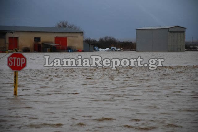 Πλημμύρισε ο Σπερχειός - «Πνίγεται» η Φθιώτιδα [εικόνες] | iefimerida.gr 2