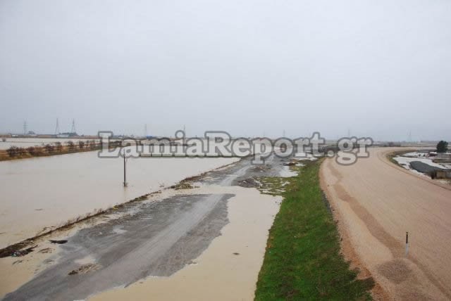 Πλημμύρισε ο Σπερχειός - «Πνίγεται» η Φθιώτιδα [εικόνες] | iefimerida.gr 3