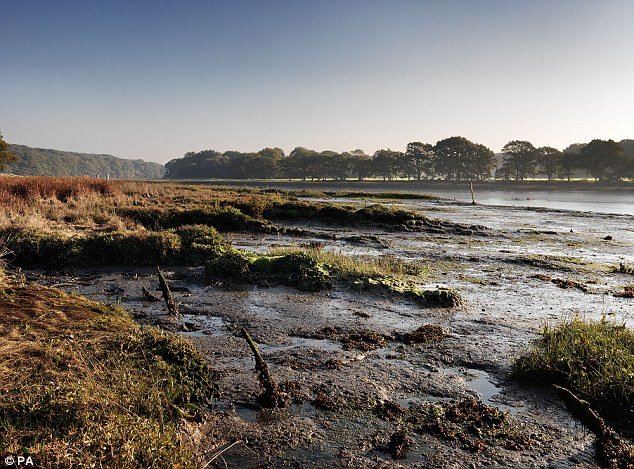Μετά από 600 χρόνια: Βρέθηκε θαμμένο σε βούρκο πλοίο του Ερρίκου του 5ου [εικόνες] | iefimerida.gr 2
